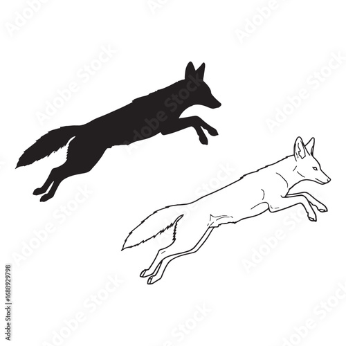 Defined Jackal Silhouette & Jackal Lineart – Jackal Vector Artwork with Crisp Edge Lines – Black Vector of Jackal – Vector Set of Jackal