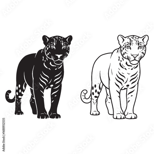 Detailed Jaguar Silhouette & Jaguar Lineart – Jaguar Vector Artwork with Fine Line Arrangement – Jaguar Illustration – Silhouette and Lineart Set of Jaguar