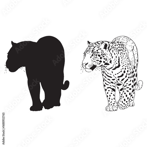 Elegant Jaguar Silhouette & Jaguar Lineart – Jaguar Vector Style Featuring Powerful Animal Frame – Black Vector of Jaguar – Vector Set of Jaguar