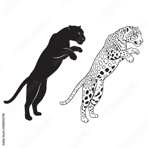 Smooth Jaguar Silhouette & Jaguar Lineart – Jaguar Vector Drawing with Simplified Jungle Design – Jaguar Illustration – Silhouette and Lineart Set of Jaguar