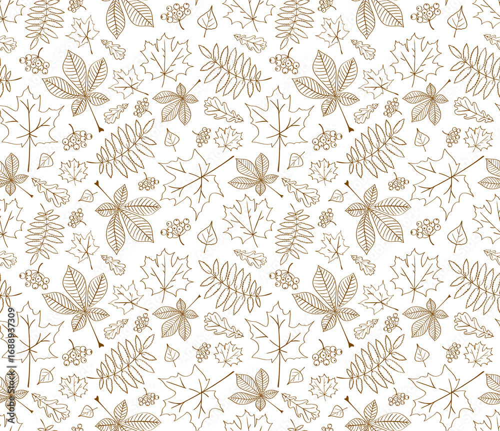 Obraz premium Autumn monochrome pattern on transparent background. Outline autumn pattern. Hand drawn foliage pattern. Isolated autumn foliage print.