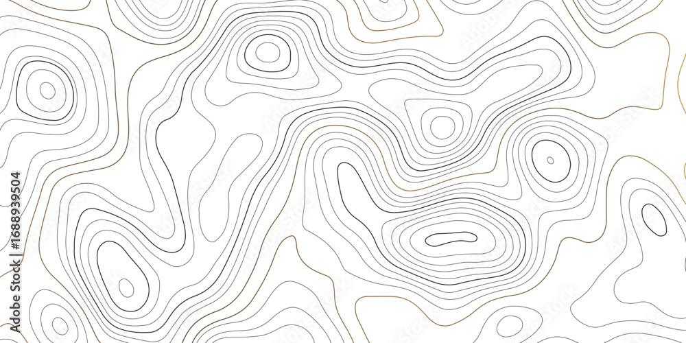 Fototapeta premium Topographic map pattern background vector. Abstract mountain terrain map background with abstract shape line texture. packaging , web, geographic grid map vector illustration.