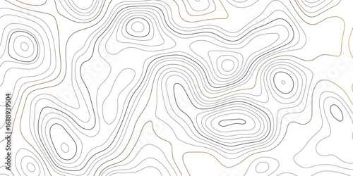 Topographic map pattern background vector. Abstract mountain terrain map background with abstract shape line texture. packaging , web, geographic grid map vector illustration.