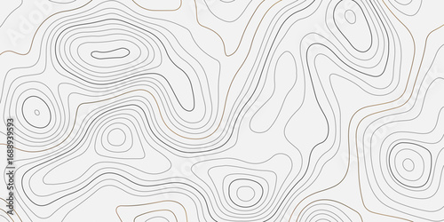 Topographic map pattern background vector. Abstract mountain terrain map background with abstract shape line texture. packaging , web, geographic grid map vector illustration.