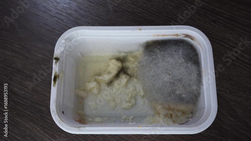 Mold growing on spoiled food in plastic container