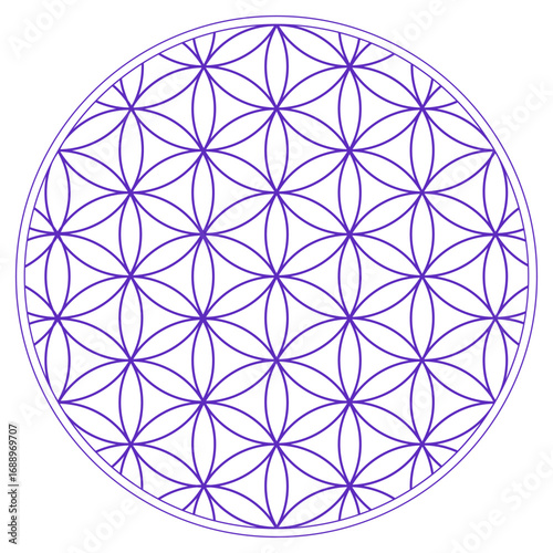 Detailed Flower of Life sacred geometry symbol formed by overlapping circles, symbolizing unity, creation, and the fundamental patterns of existence. Vector art