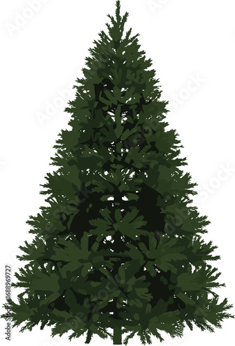 Realistic green pine tree illustration, evergreen Christmas tree silhouette perfect for winter, holiday decor, forest, or seasonal designs.