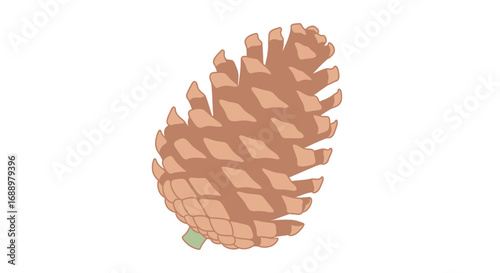 A Detailed Illustration of a Pinecone Showcasing its Scaly Texture and Unique Seed Bearing Structure for Educational Purposes