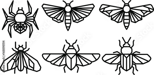 Geometric insect collection featuring a spider, moth, and beetle isolated on a white background, great for design projects
