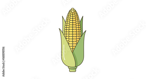 A Detailed Illustration of a Ripe Yellow Corn Cob with Green Husks and a Stalk Base Representing Agricultural Harvest and Healthy Food