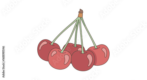 A Bunch of Fresh Red Cherries Hanging on Their Stems A Delicious Healthy Fruit Ready for Eating or Cooking
