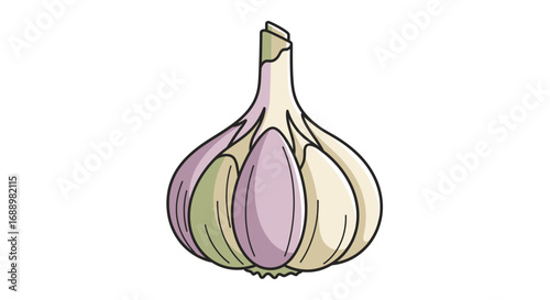 A stylized illustration of a single garlic bulb with distinct cloves showing different pastel colors against a white background a simple representation of a common culinary ingredient