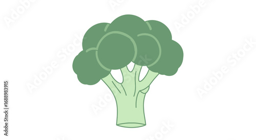 A simple cartoon illustration of a healthy green broccoli stalk with a thick stem and a crown of florets against a white background