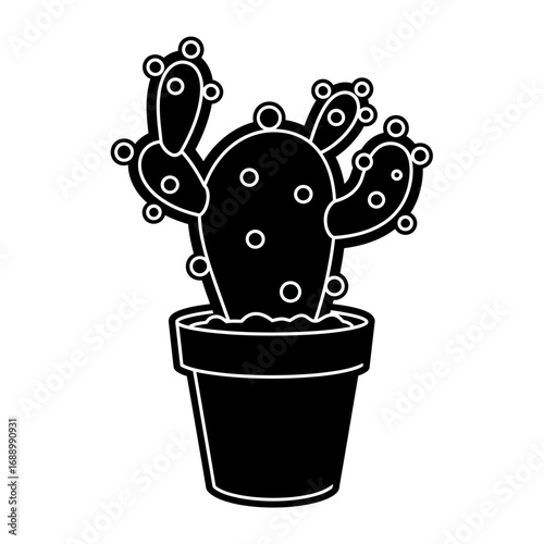 cactus in pot