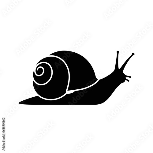 snail on white background