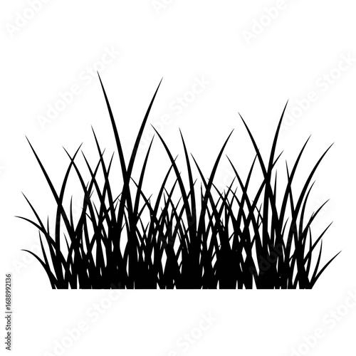 grass on white background