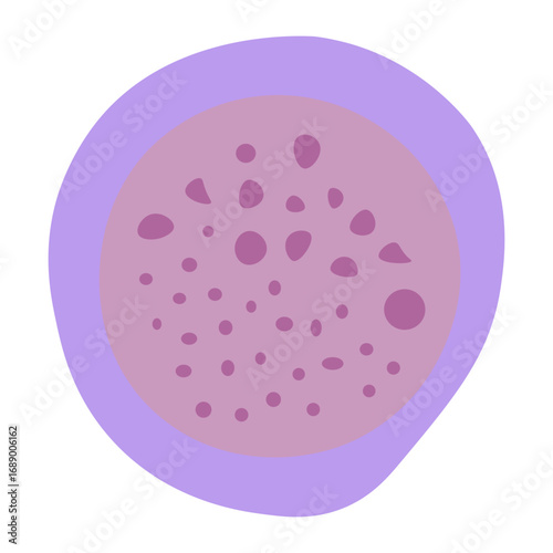 proerythroblast