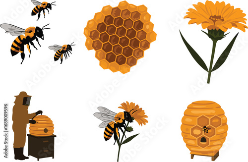 Vector illustration of bees, honeycomb, beekeeper, flower, and beehive showcasing pollination, honey production, and sustainable beekeeping concepts.