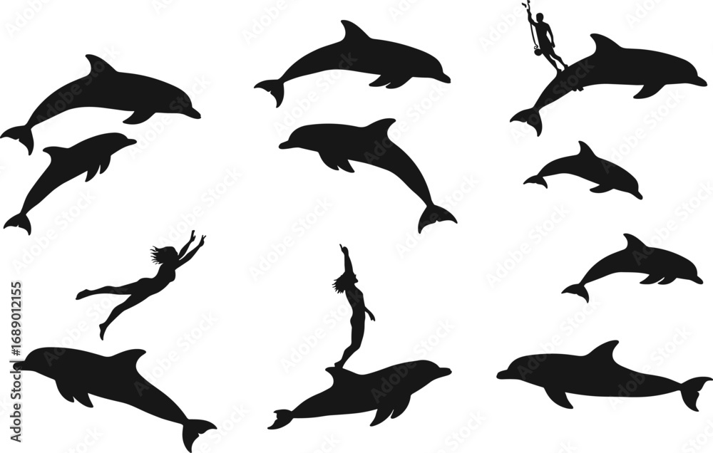 Fototapeta premium Vector illustration of dolphins jumping and swimming with humans performing tricks, aquatic animals, marine life, ocean show, and water sports.