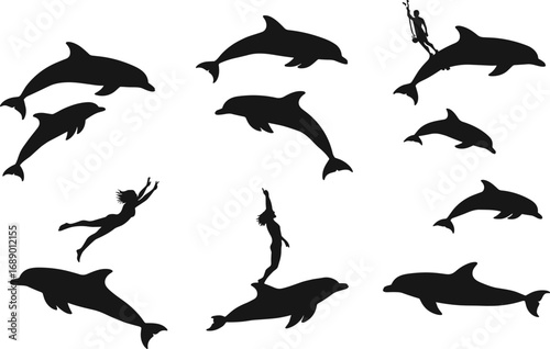 Vector illustration of dolphins jumping and swimming with humans performing tricks, aquatic animals, marine life, ocean show, and water sports.