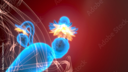 Foto Female reproductive system. 3d illustrations