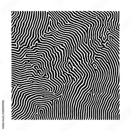 Abstract fingerprint pattern with black and white curved lines creating a unique and intricate design art