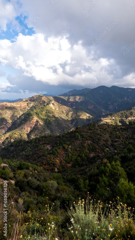 Naklejka premium Mountain landscape view