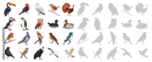 Big set of birds silhouette and vector icons, flying birds, abstract bird art, tropical parrots, owls, penguins, seagulls, toucans, ducks, robins, sparrows, pigeons, collection illustration