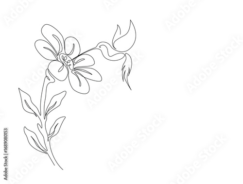 Hummingbird on flower in single line draw illustration. Continuous one line drawing of colibri and flower. Editable stroke.
