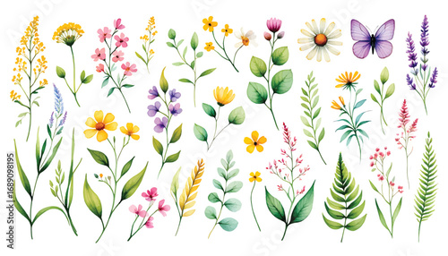 A vibrant collection of hand-painted watercolor wildflowers, botanical herbs, and a purple butterfly. Floral vector (31).eps design elements set