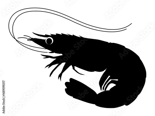 Shrimp silhouette,Shrimp vector silhouette Black, shrimp icon vector, Sea lobster. with white background
