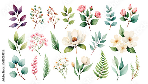 Elegant set of watercolor botanical illustrations with various flowers and leaves vector elements