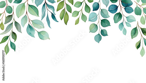 Artistic watercolor banner with green eucalyptus leaves and foliage branches on a white background. Vector illustration