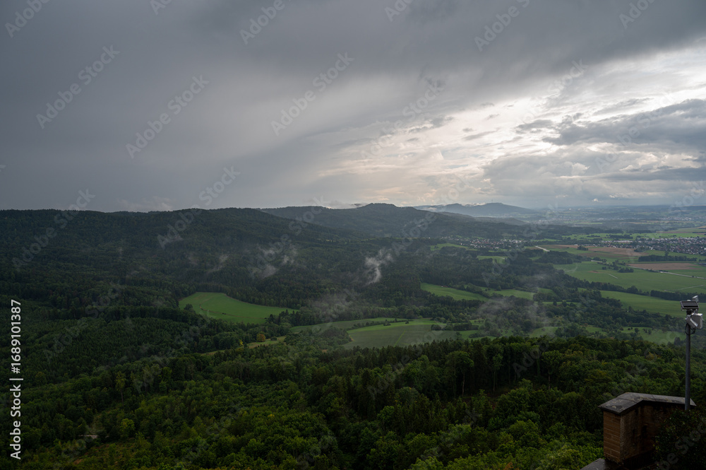 Obraz premium Moody and atmospheric panoramic landscape of a lush green forest valley with fog rising from the trees after the rain. Concept of wilderness, nature, and adventure