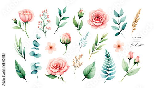 Elegant Watercolor Floral Set Roses, Leaves, and Greenery Vector Illustration for Design