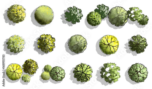 Vector set of Top view green tree for outdoor plan or map and architecture drawing, elements for environment and garden ,botanical elements ,Blooming flowers in spring,tropical plants element