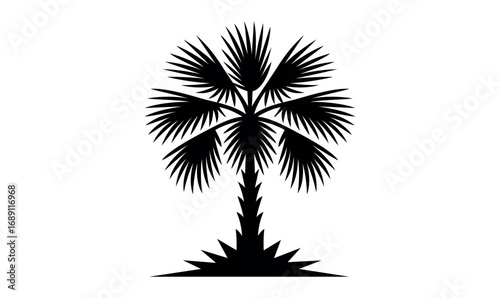 Palm tree monochrome logo, palmetto logo, silhouette Palm black and white background, vector illustration