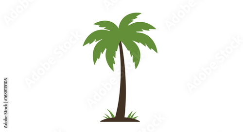 Tropical palm tree on white background in flat style