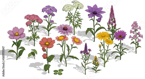 Collection of vibrant botanical flowers in detailed 3d style