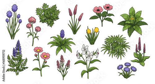 Vibrant botanical collection featuring various flowers and plants