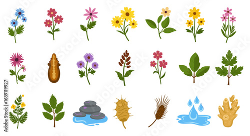 Collection of colorful herbal plants and spa elements with flat design