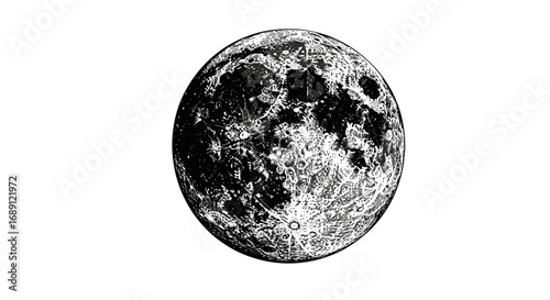 Intricate black and white moon art featuring detailed lunar craters and texture
