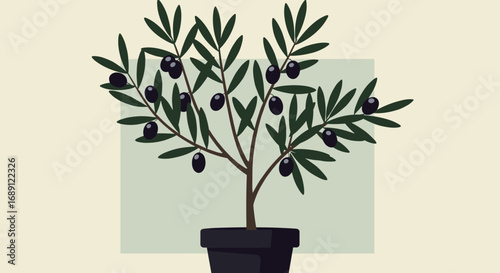Potted olive tree with dark olives in minimalist design