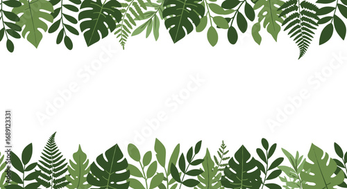 Tropical leaf border background with monstera and fern leaves