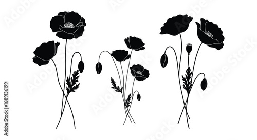 black silhouettes of poppies with delicate stems and leaves