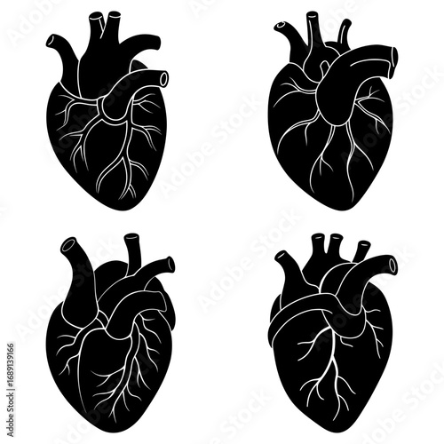 Four anatomical hearts displayed in a square format with black silhouettes on a white background design vector