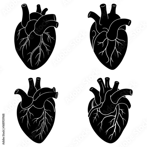 Four anatomical hearts in black and white with visible arteries and veins displayed on a white background