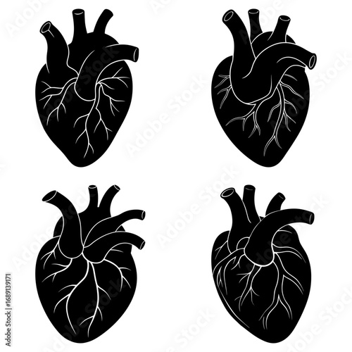 Four anatomical heart illustrations in black and white showcasing the organ structure and veins clearly