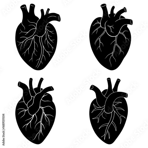 Four anatomical heart illustrations in black and white showing veins and arteries on a white background