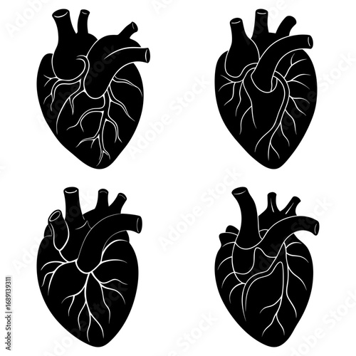 Four anatomical heart illustrations in black and white showing arteries and veins in detailed drawing style